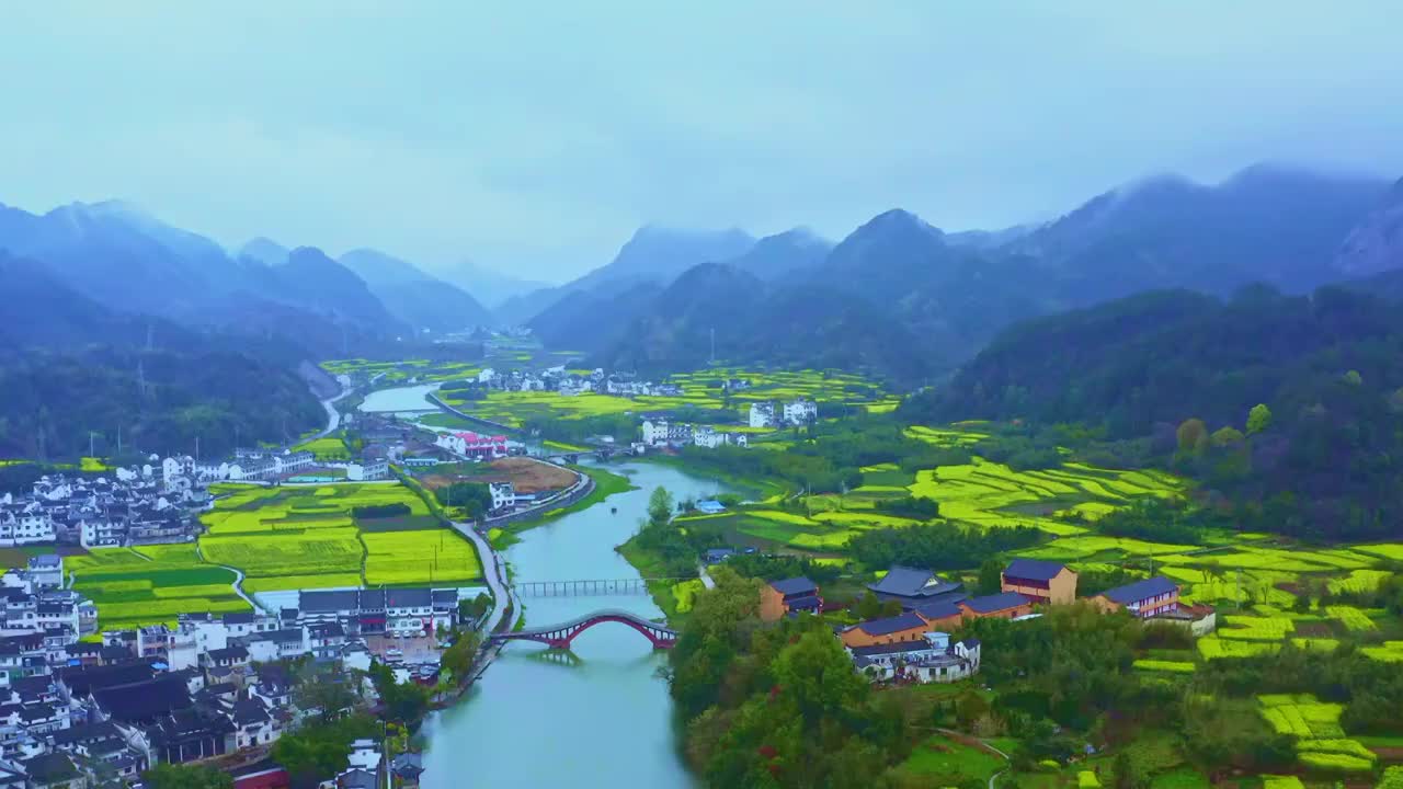 皖南烟雨朦胧下的油菜花和古村落视频素材