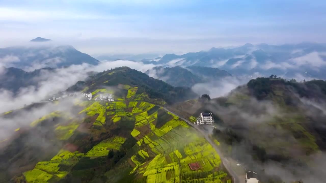 歙县坡山村春季油菜花云海风光4K延时航拍视频素材画面1