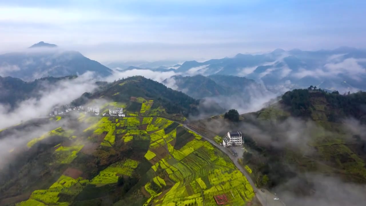 歙县坡山村春季油菜花云海风光4K延时航拍视频素材画面2