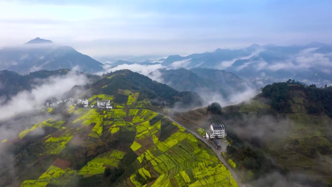 歙县坡山村春季油菜花云海风光4K延时航拍视频素材画面3