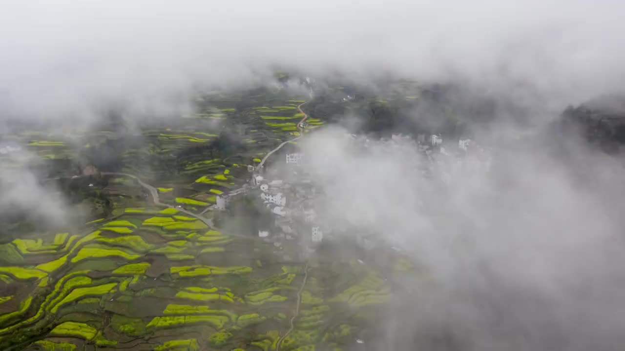 绩溪家朋春季油菜花云海风光4K延时航拍短片视频素材