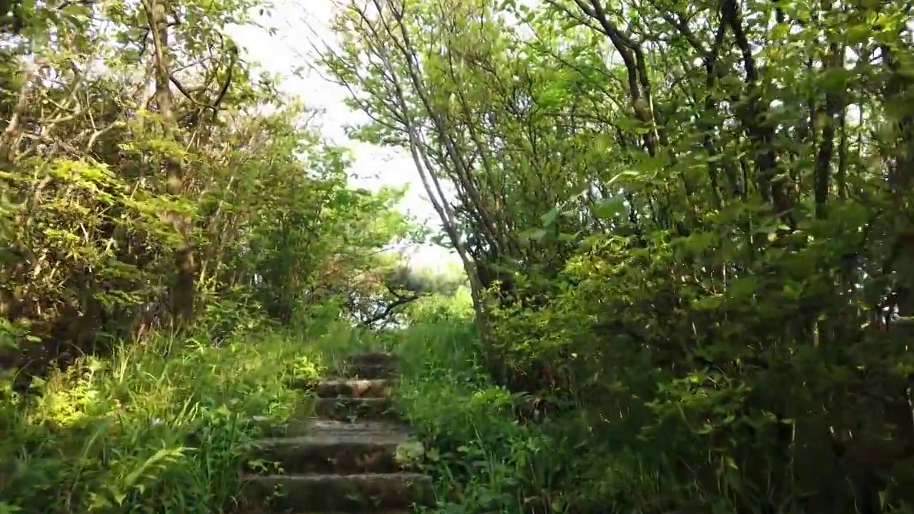 南岳衡山步行登山第一视角视频素材