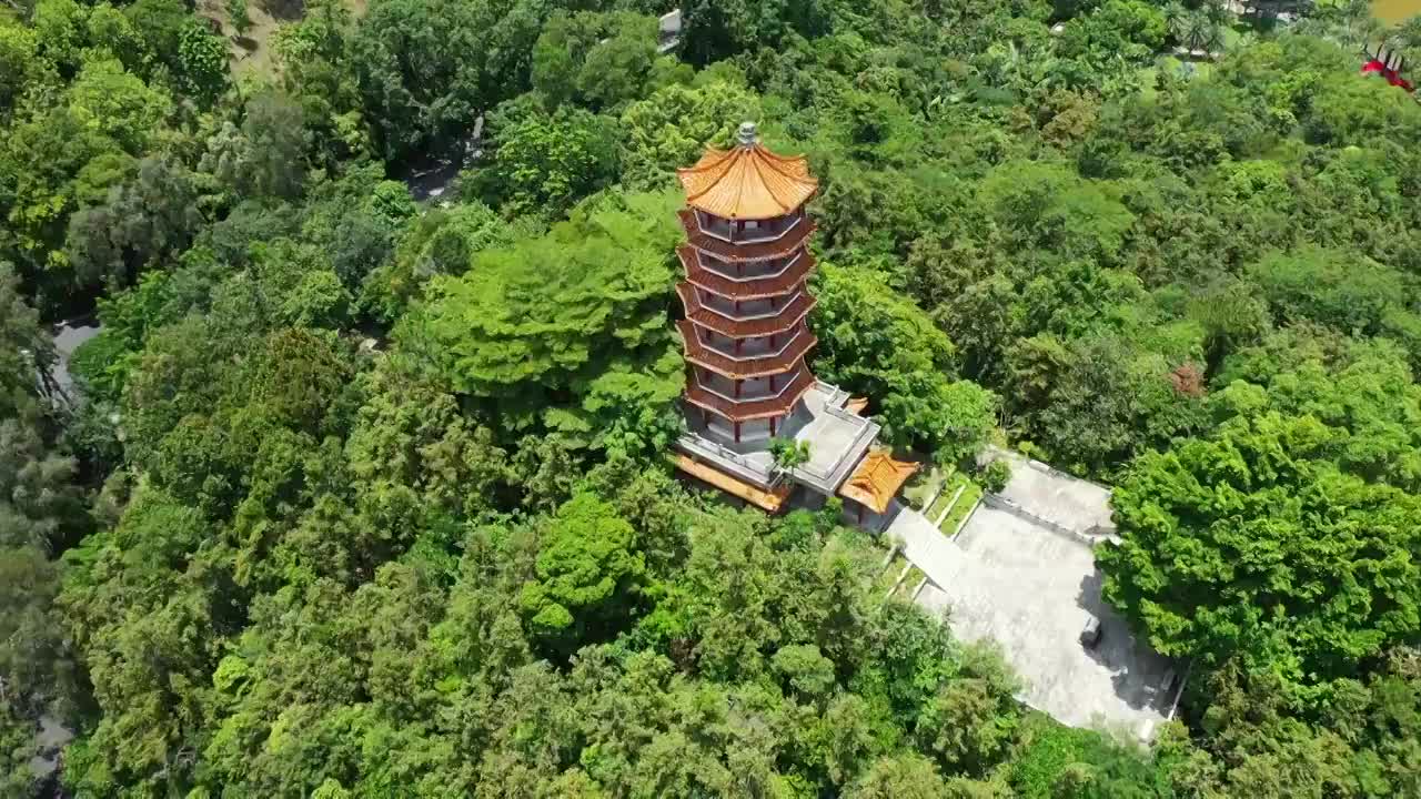 广东省深圳市罗湖区莲塘仙湖植物园航拍视频素材