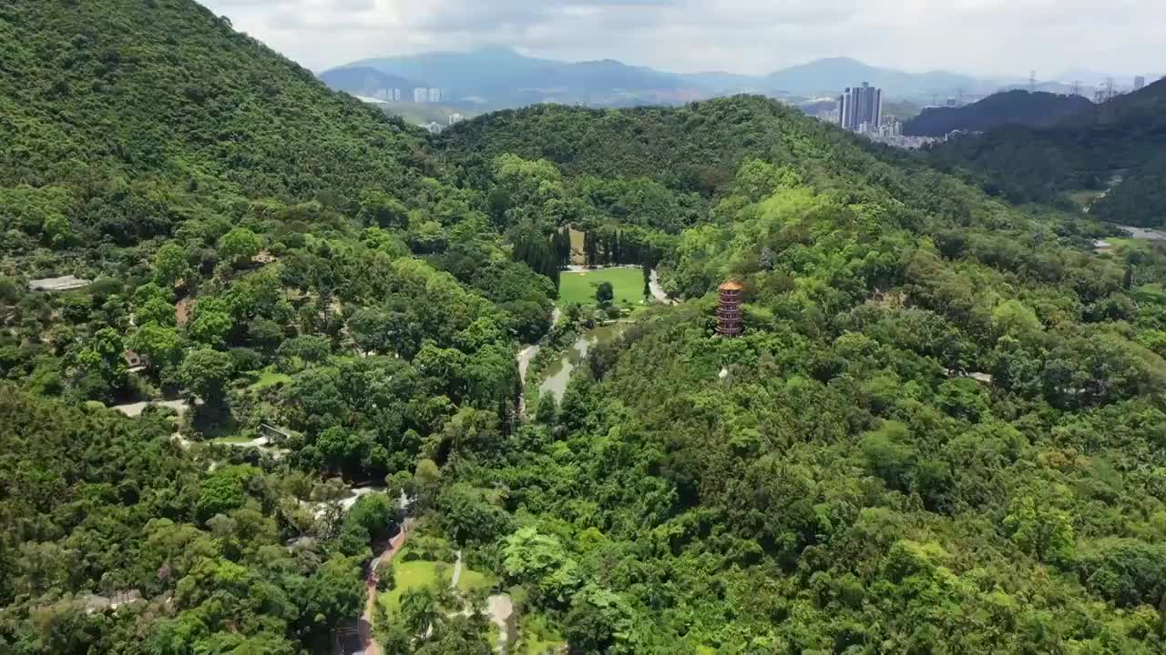 广东省深圳市罗湖区莲塘仙湖植物园航拍视频素材