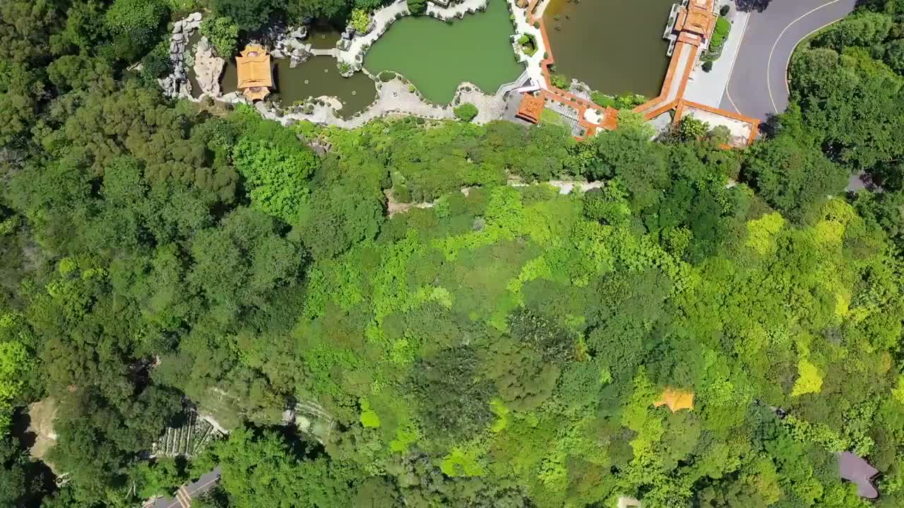 广东省深圳市罗湖区莲塘仙湖植物园航拍视频素材