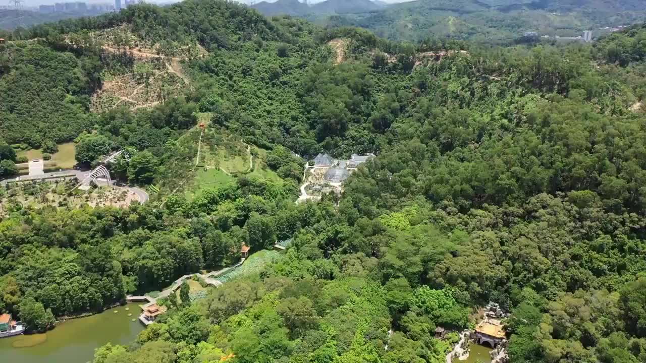 广东省深圳市罗湖区莲塘仙湖植物园航拍视频素材