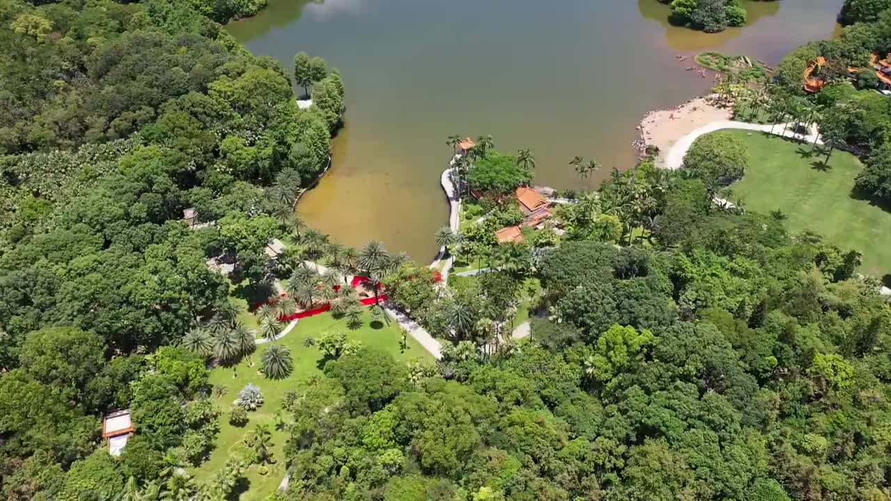 广东省深圳市罗湖区莲塘仙湖植物园航拍视频素材