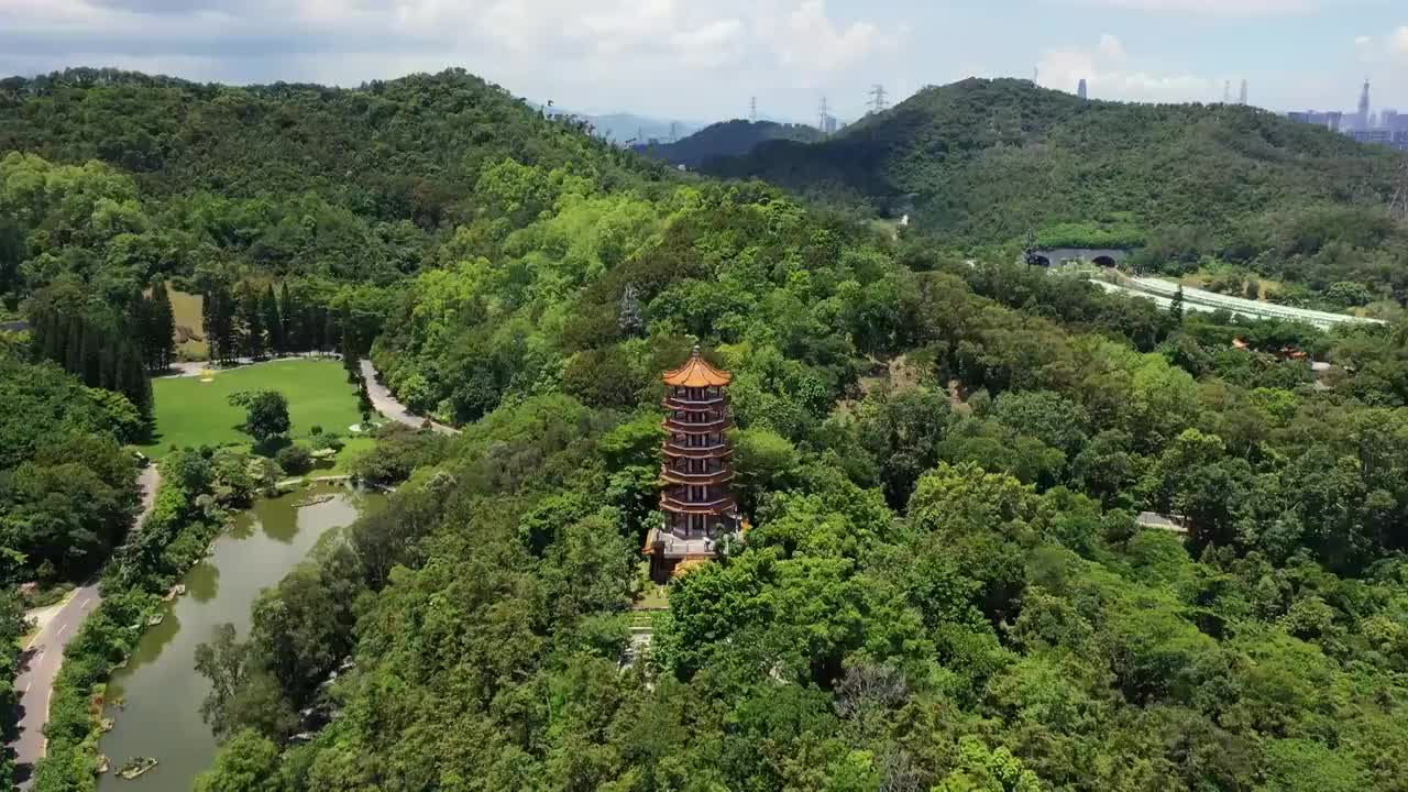 广东省深圳市罗湖区莲塘仙湖植物园航拍视频素材