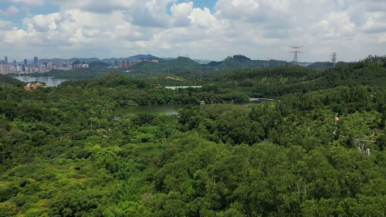 广东省深圳市罗湖区莲塘仙湖植物园航拍视频素材