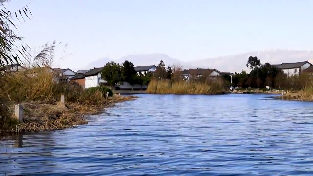 大理西湖草海湿地公园视频素材