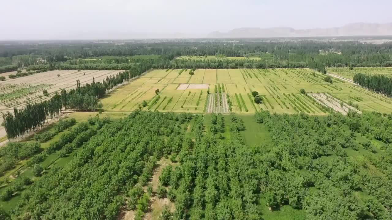 航拍新疆戈壁滩上的农田视频素材