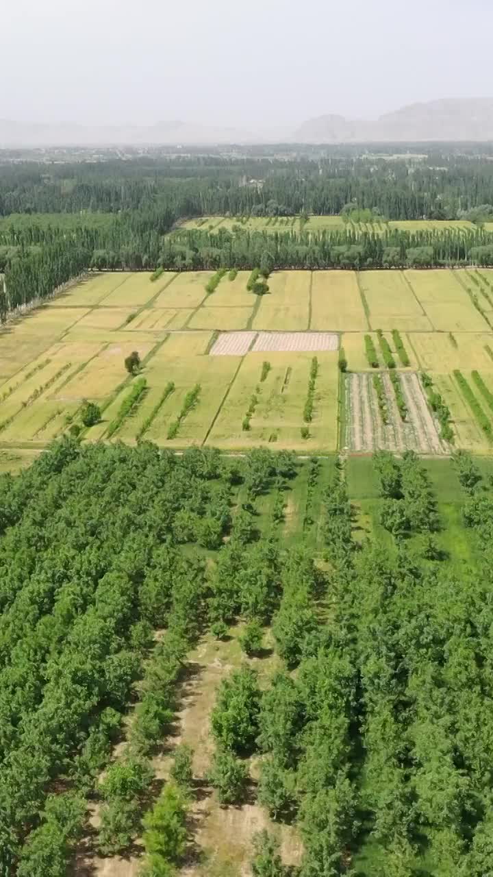 航拍新疆戈壁滩上的农田视频素材