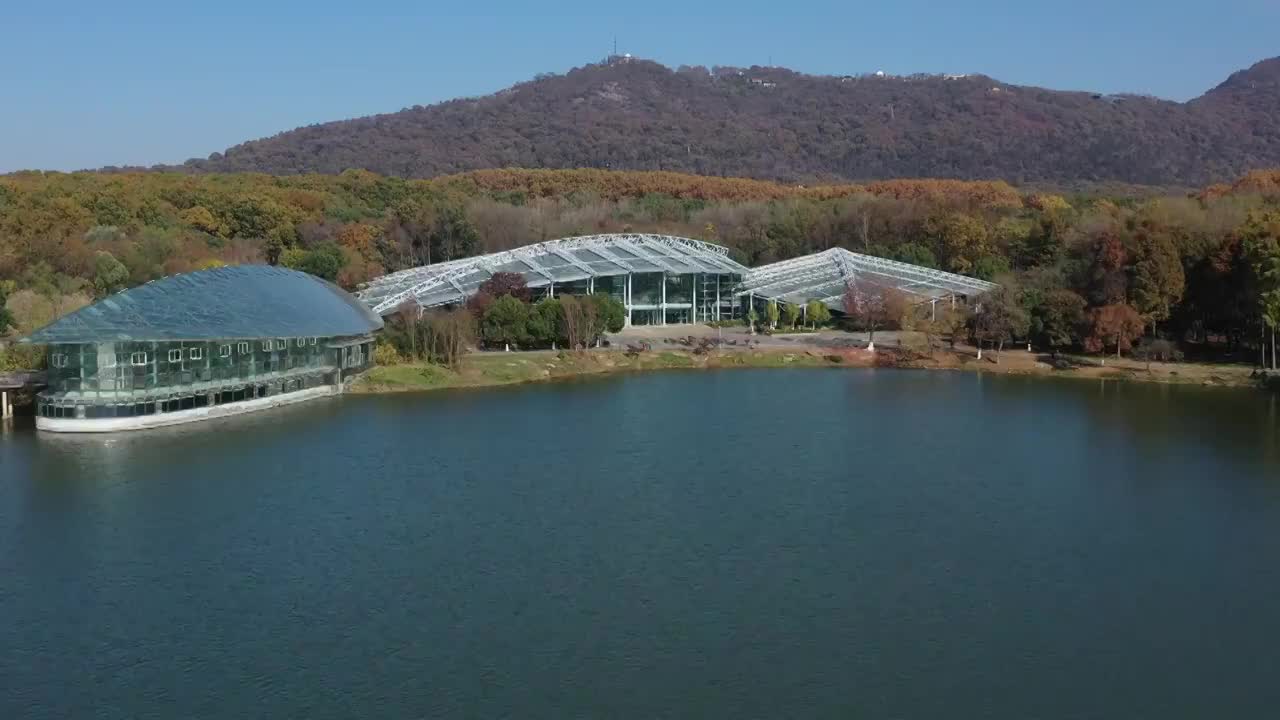 南京中山陵植物园视频素材