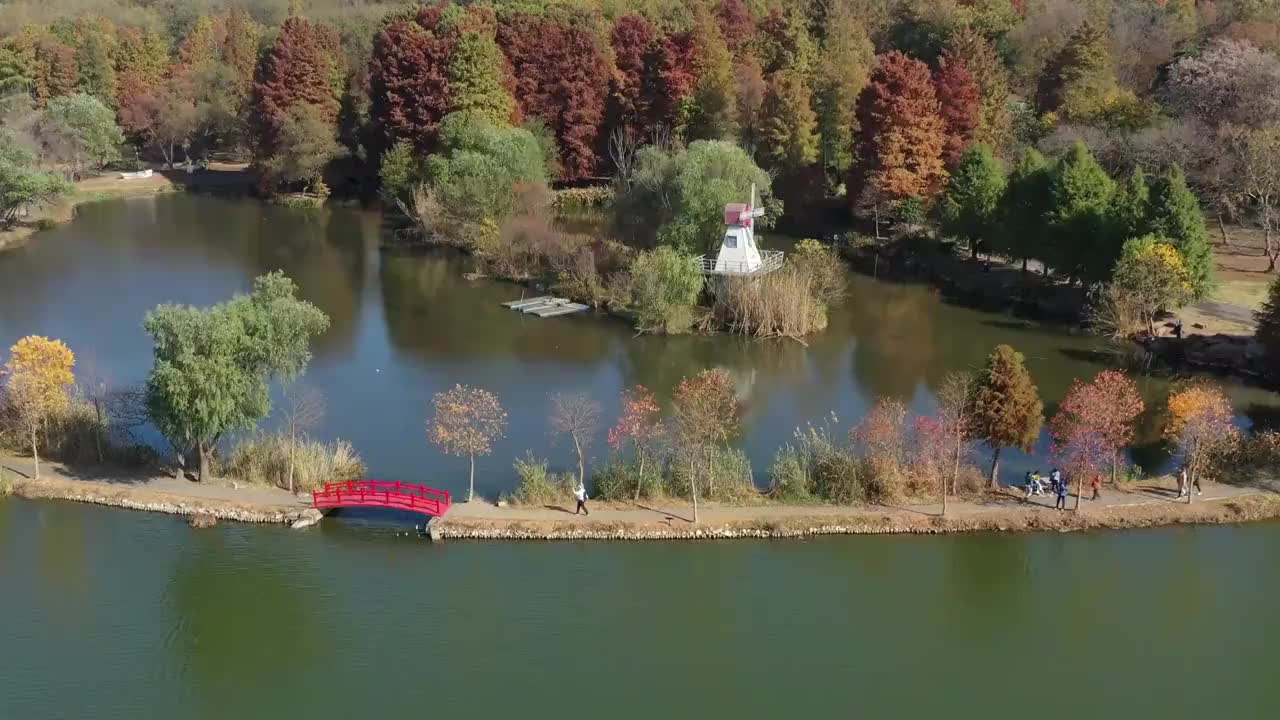 南京中山陵植物园视频素材