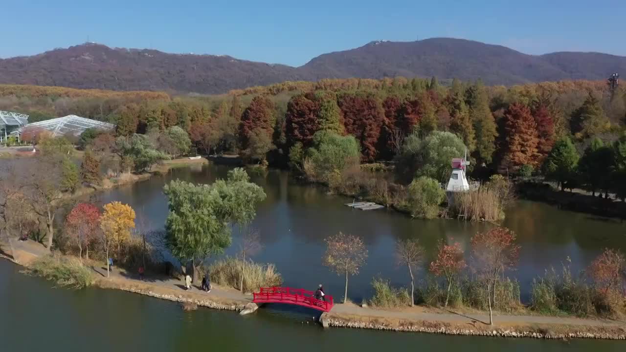 南京中山陵植物园视频素材