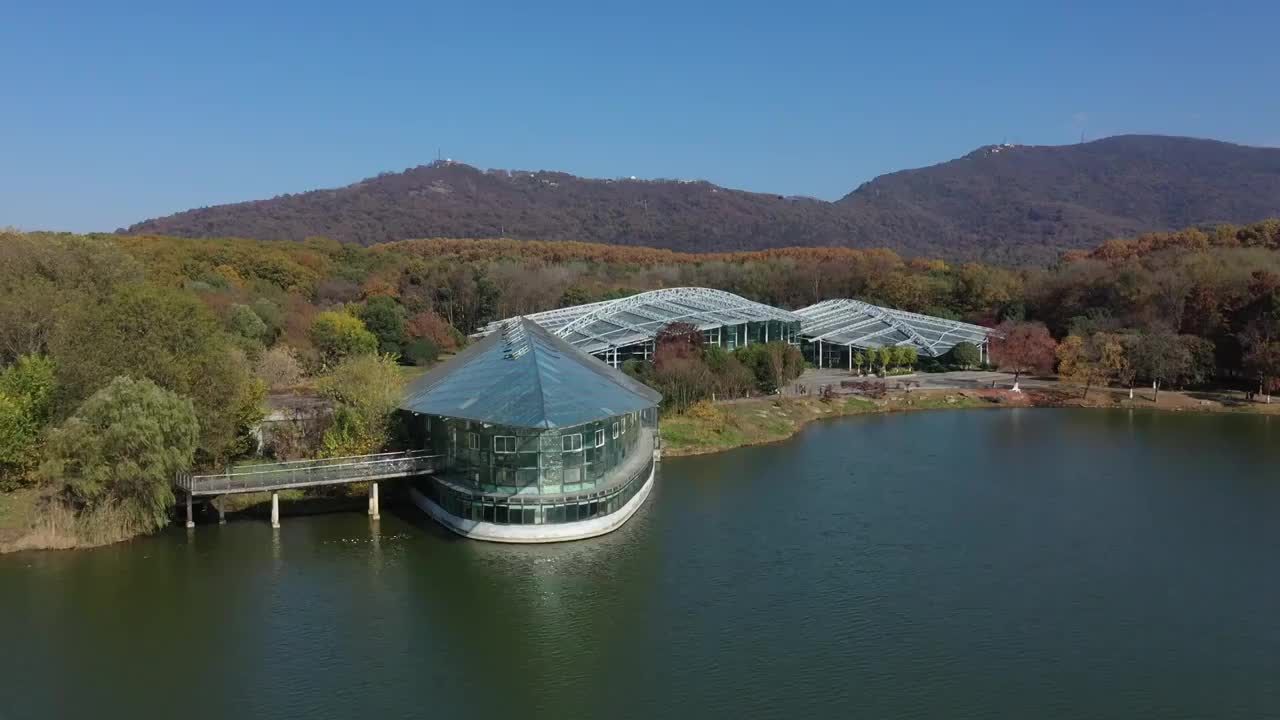 南京中山陵植物园视频素材