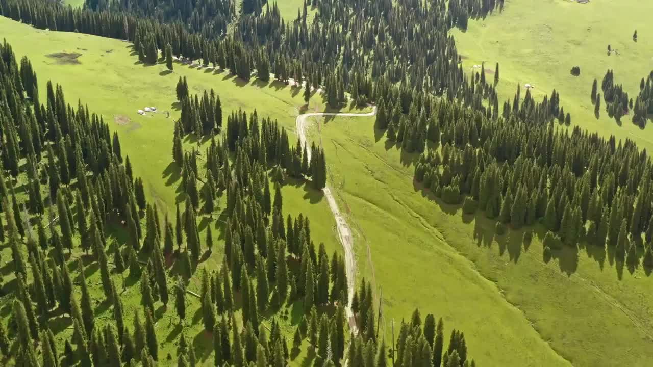 中国新疆伊犁那拉提草原自然风景视频素材