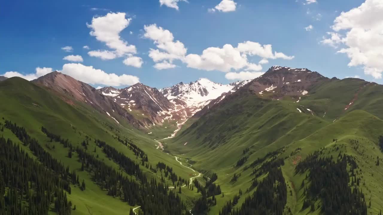 中国新疆伊犁那拉提草原自然风景视频素材