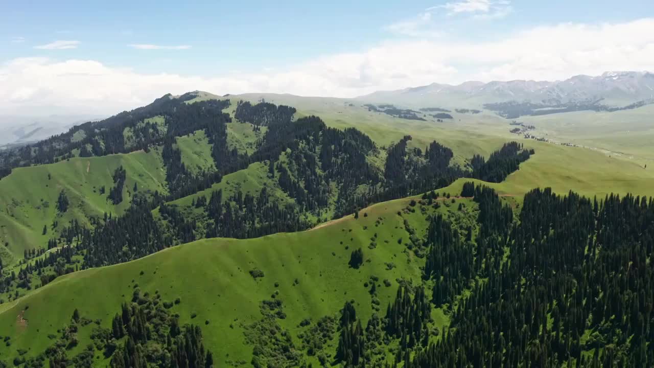 中国新疆伊犁那拉提草原自然风景视频素材