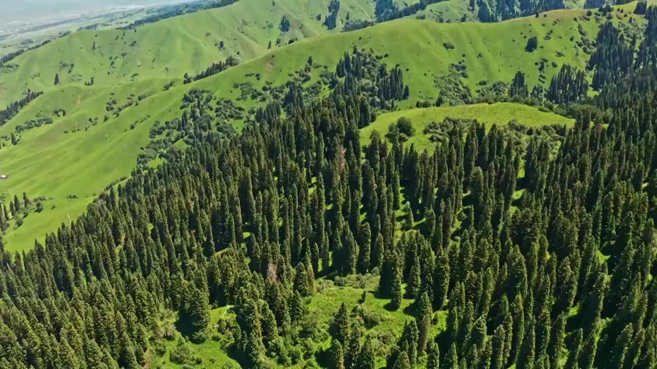 中国新疆伊犁那拉提草原自然风景视频素材