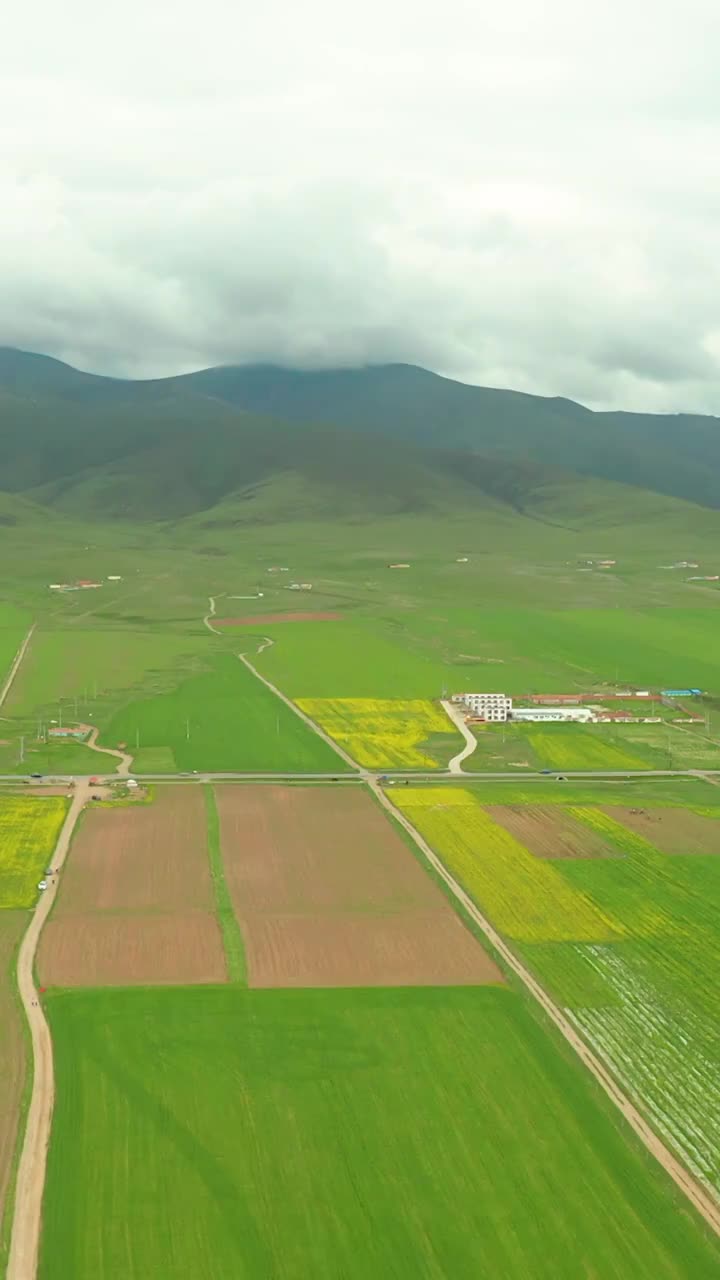 航拍青海湖边的油菜花与109国道视频素材