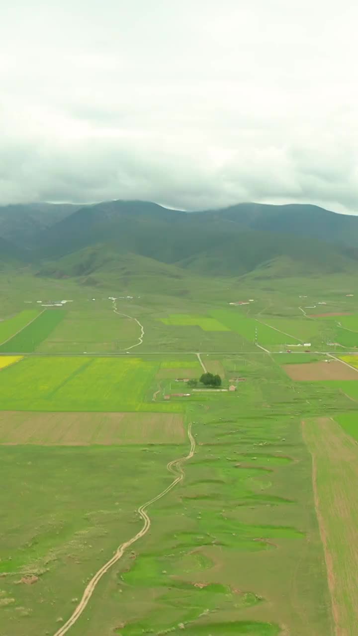 航拍青海湖边的油菜花与109国道视频素材