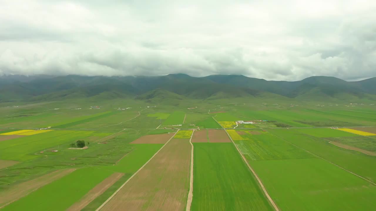 航拍青海湖边的油菜花与109国道视频素材