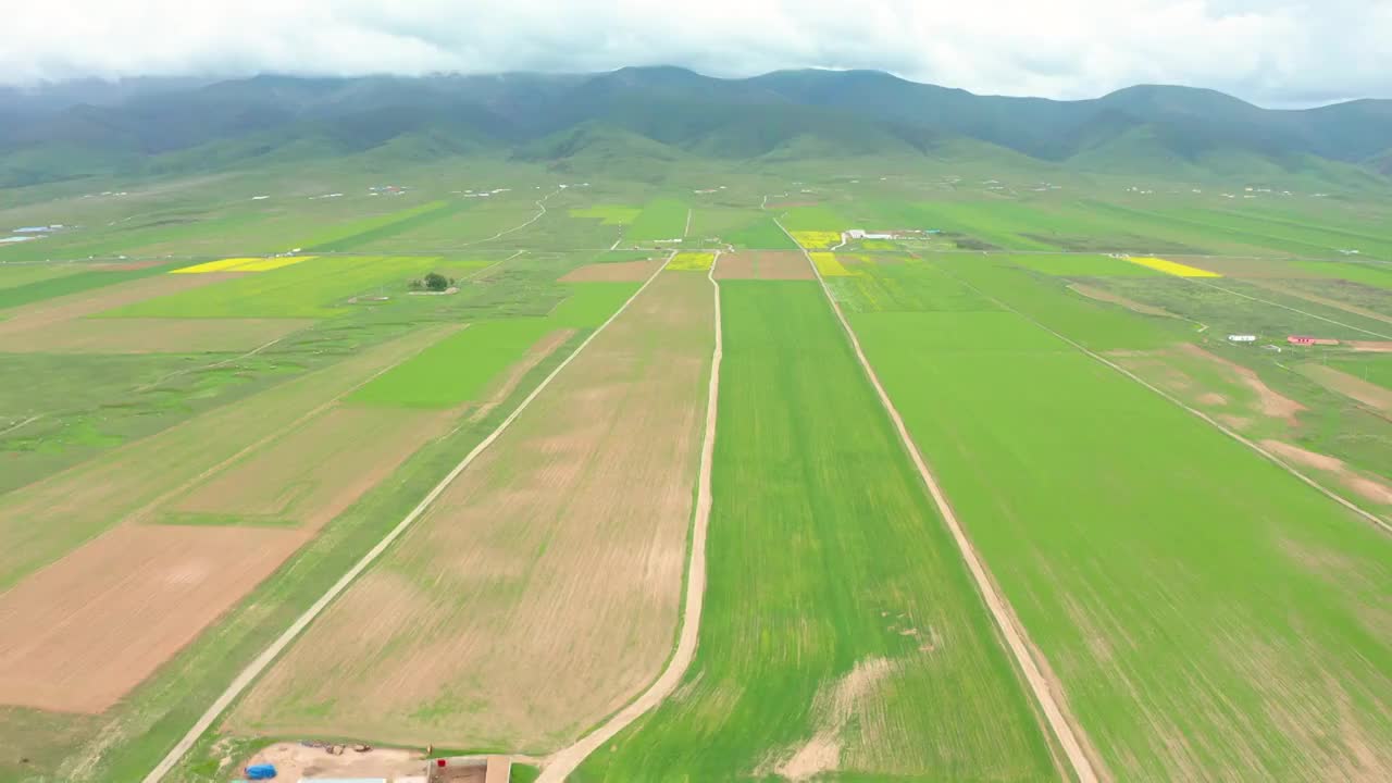 航拍青海湖边的油菜花与109国道视频素材