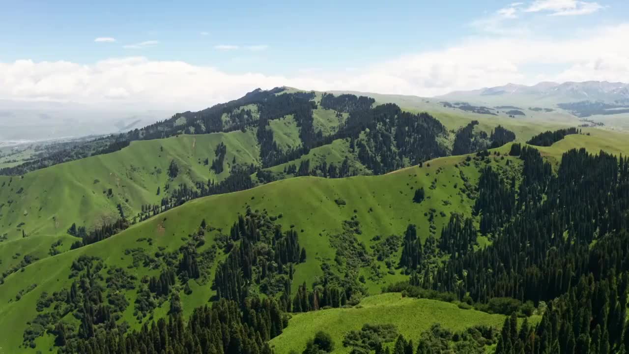 中国新疆伊犁那拉提草原自然风景视频素材