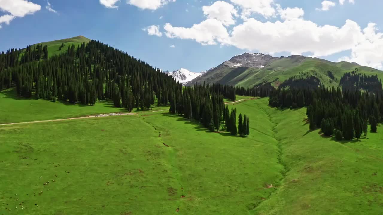 中国新疆伊犁那拉提草原自然风景视频素材