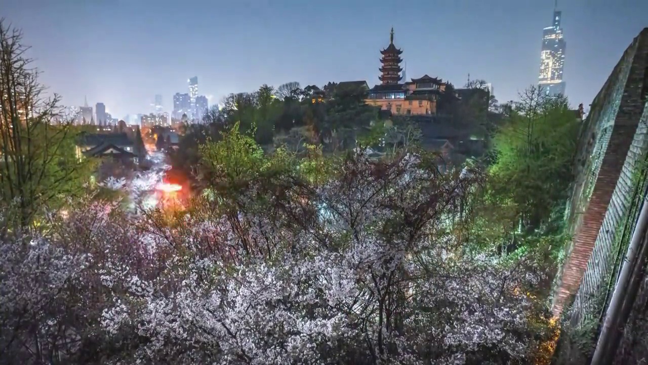 6K60P南京城墙鸡鸣寺樱花夜景风光延时视频素材