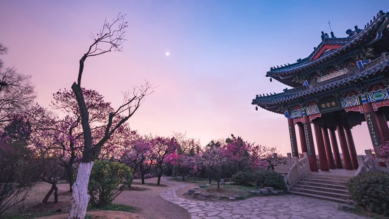 6K60P南京钟山风景区梅花山博爱阁夜景风光延时视频素材