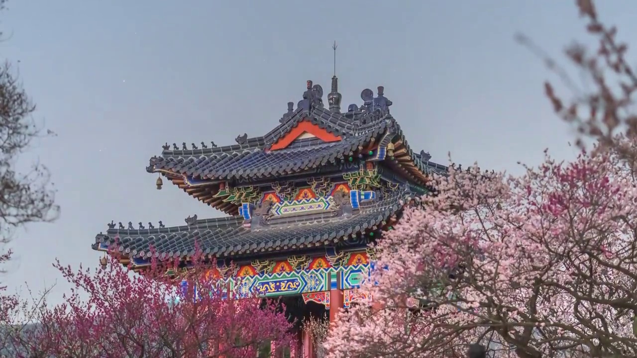 6K60P南京钟山风景区梅花山博爱阁夜景星空风光延时视频素材