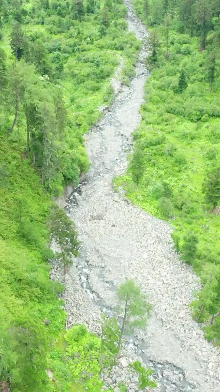 航拍四川黄龙保护区的森林视频素材