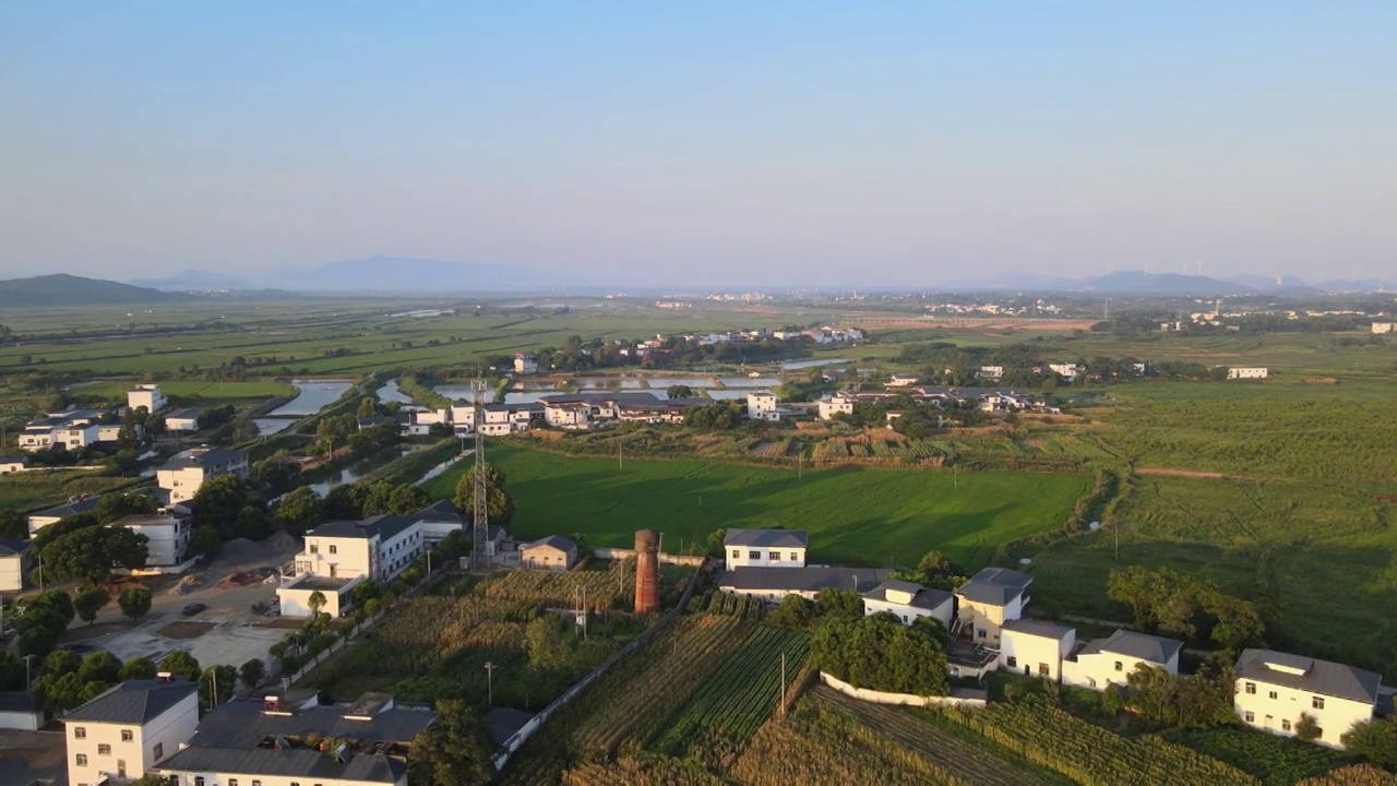 日出，稻田视频素材