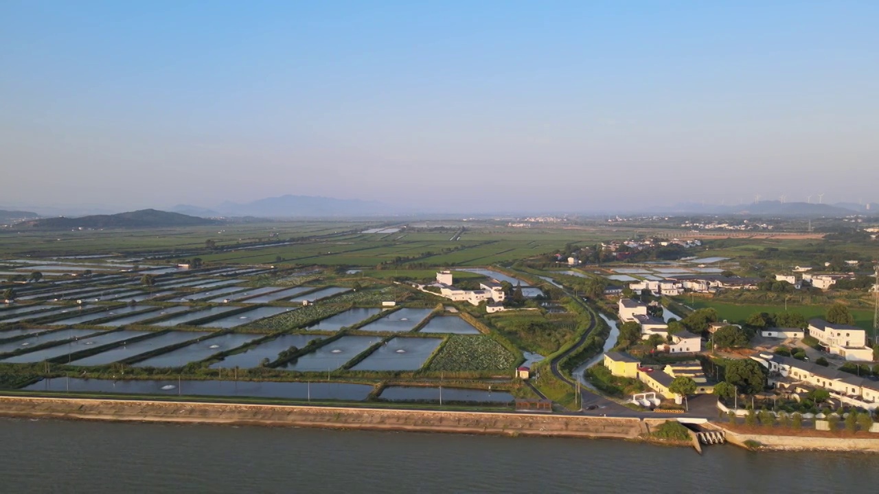 日出，稻田视频素材