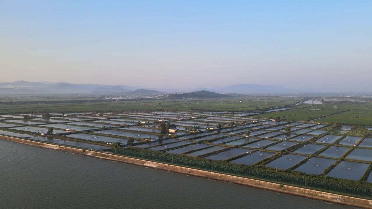 日出，稻田视频素材