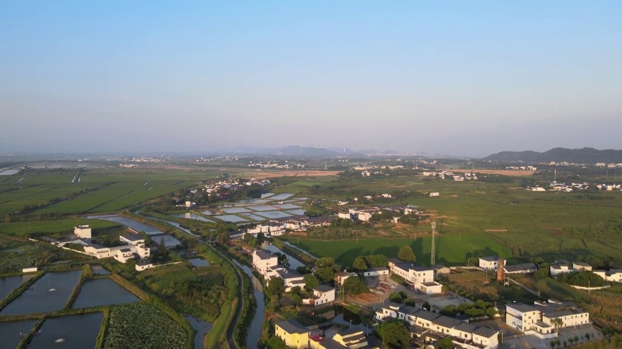 日出，稻田视频素材