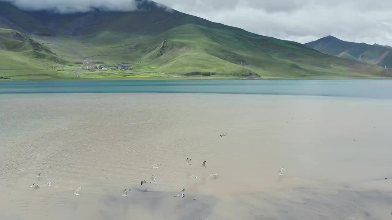 西藏山南羊卓雍措夏季航拍风光视频素材