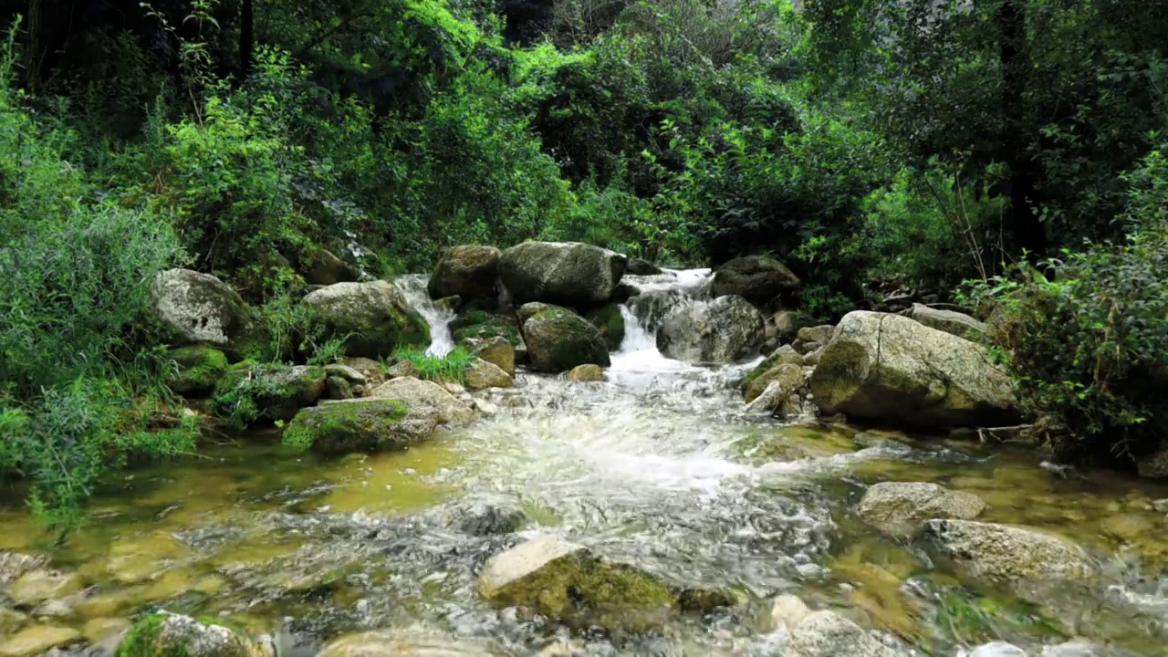 原生态河水视频素材