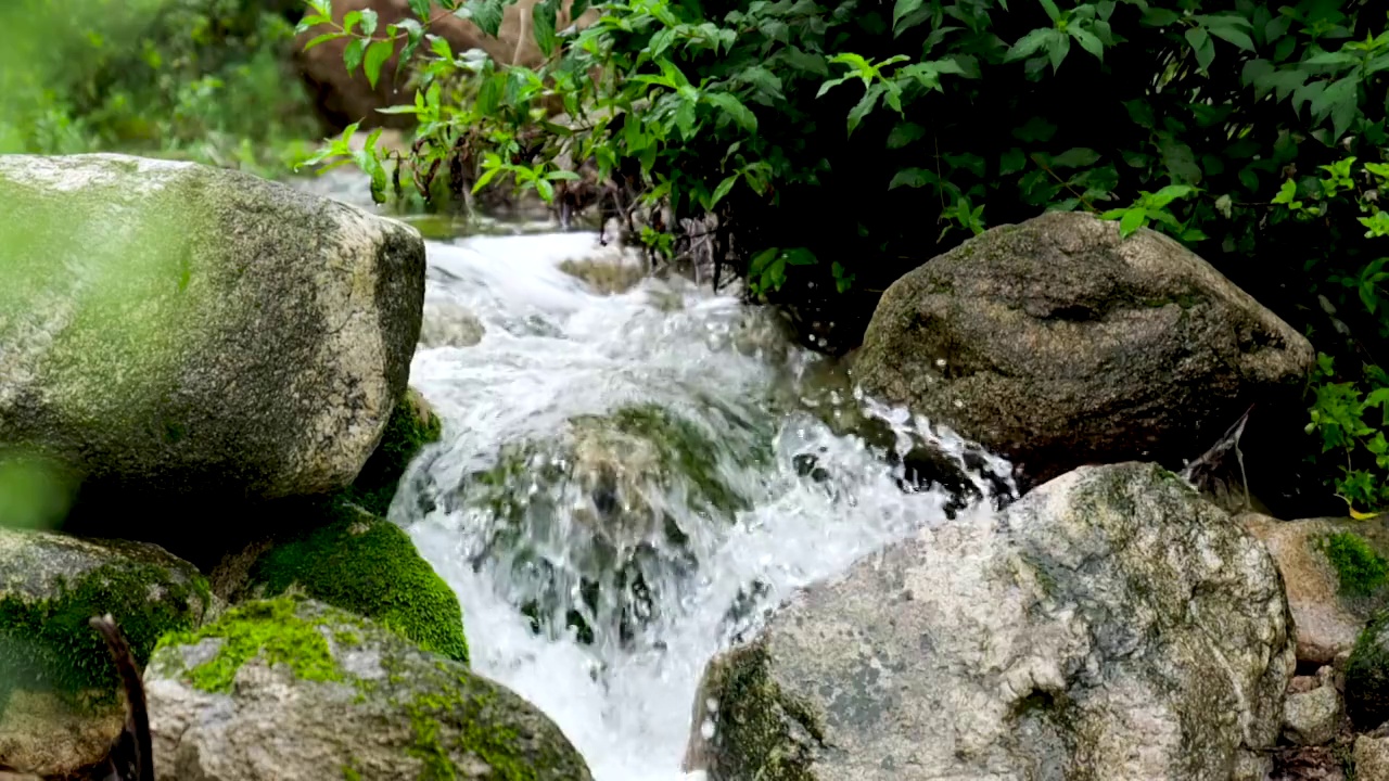 原生态河水视频素材