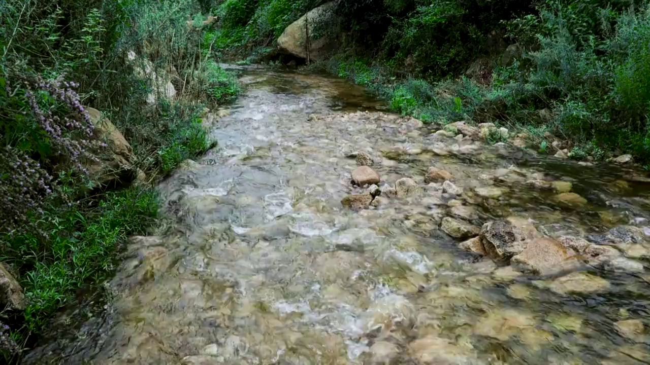 原生态河水视频素材