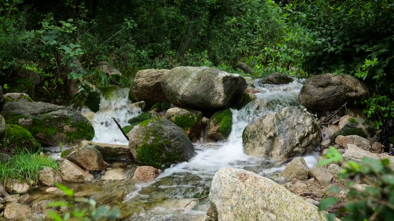 小河视频素材