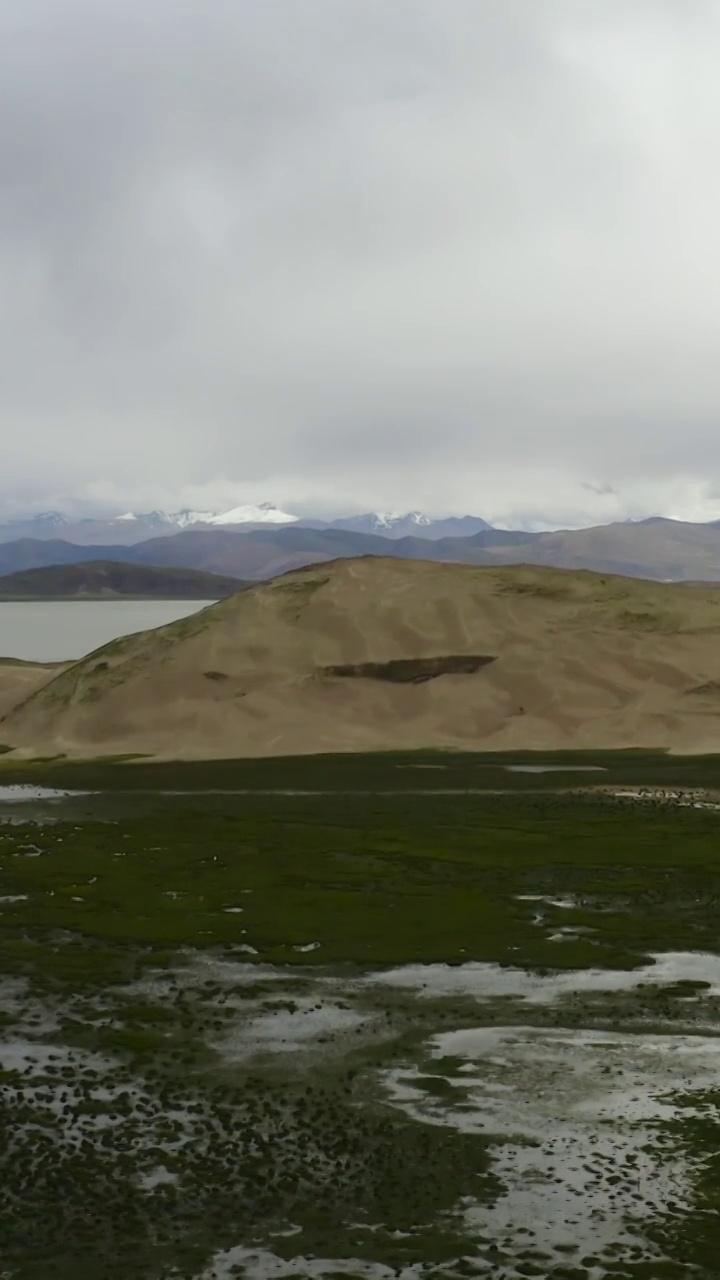 航拍西藏阿里地区马泉河湿地视频素材