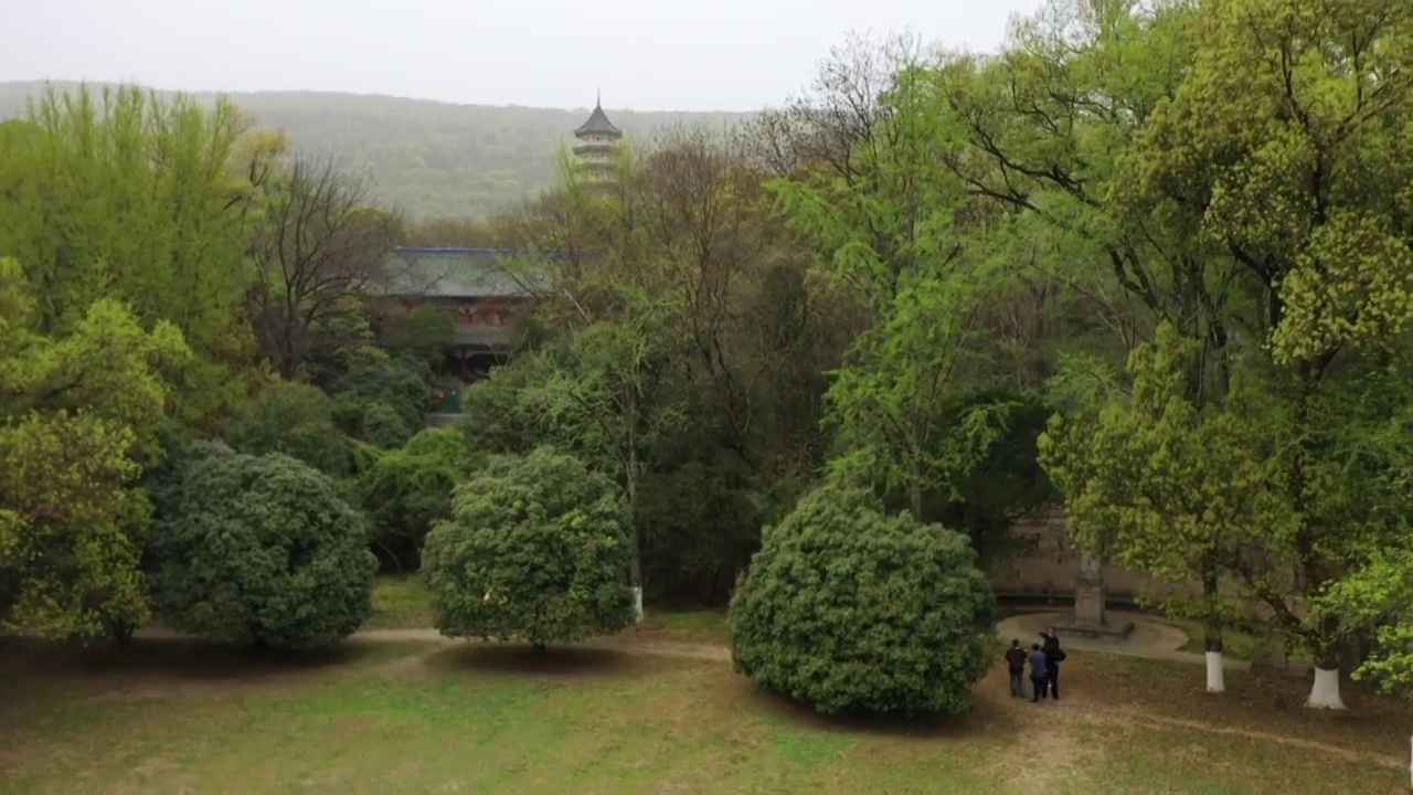 南京灵谷寺视频素材