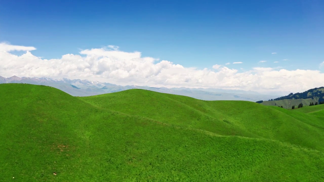 中国新疆伊犁那拉提草原自然风景视频素材