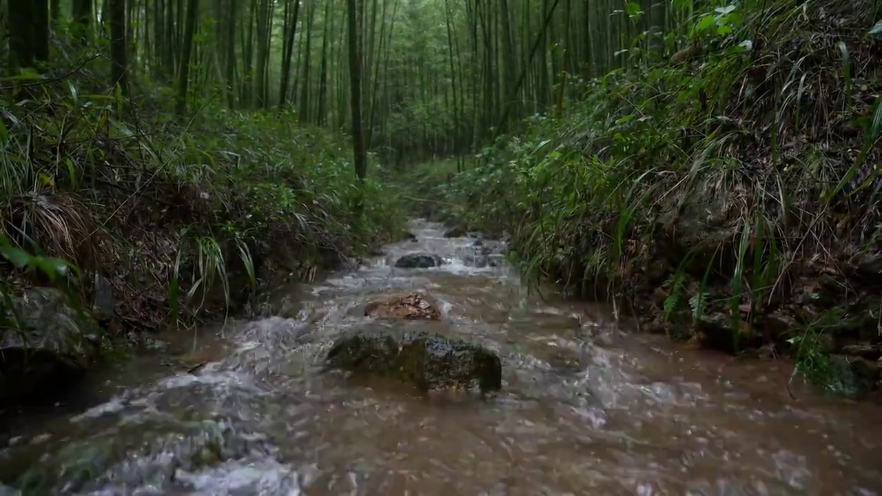 山涧溪流视频素材