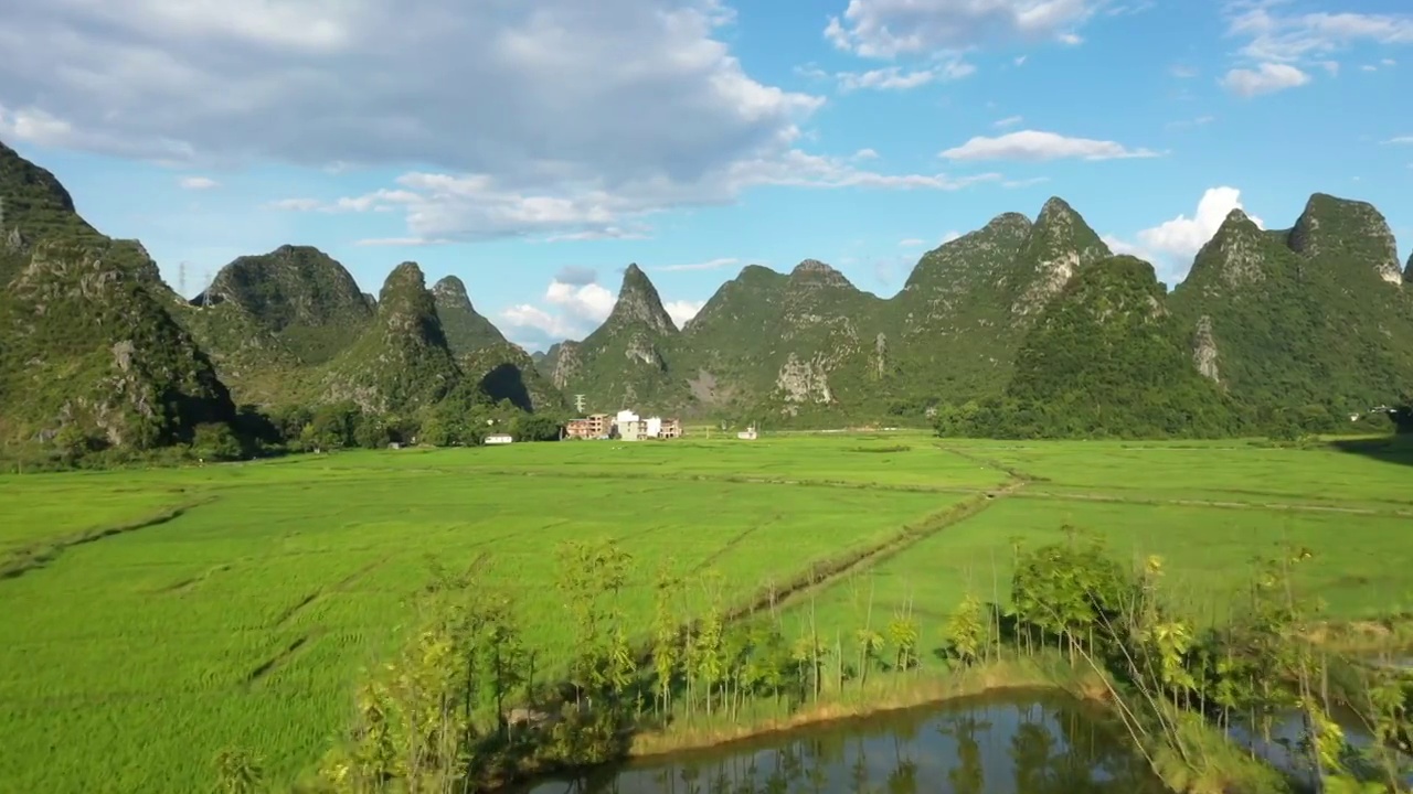 蓝天白云下桂林群山间绿油油的稻田视频素材