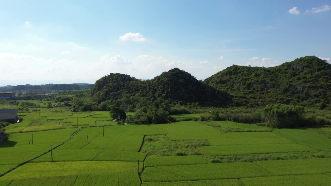 蓝天白云下桂林群山间绿油油的稻田视频素材