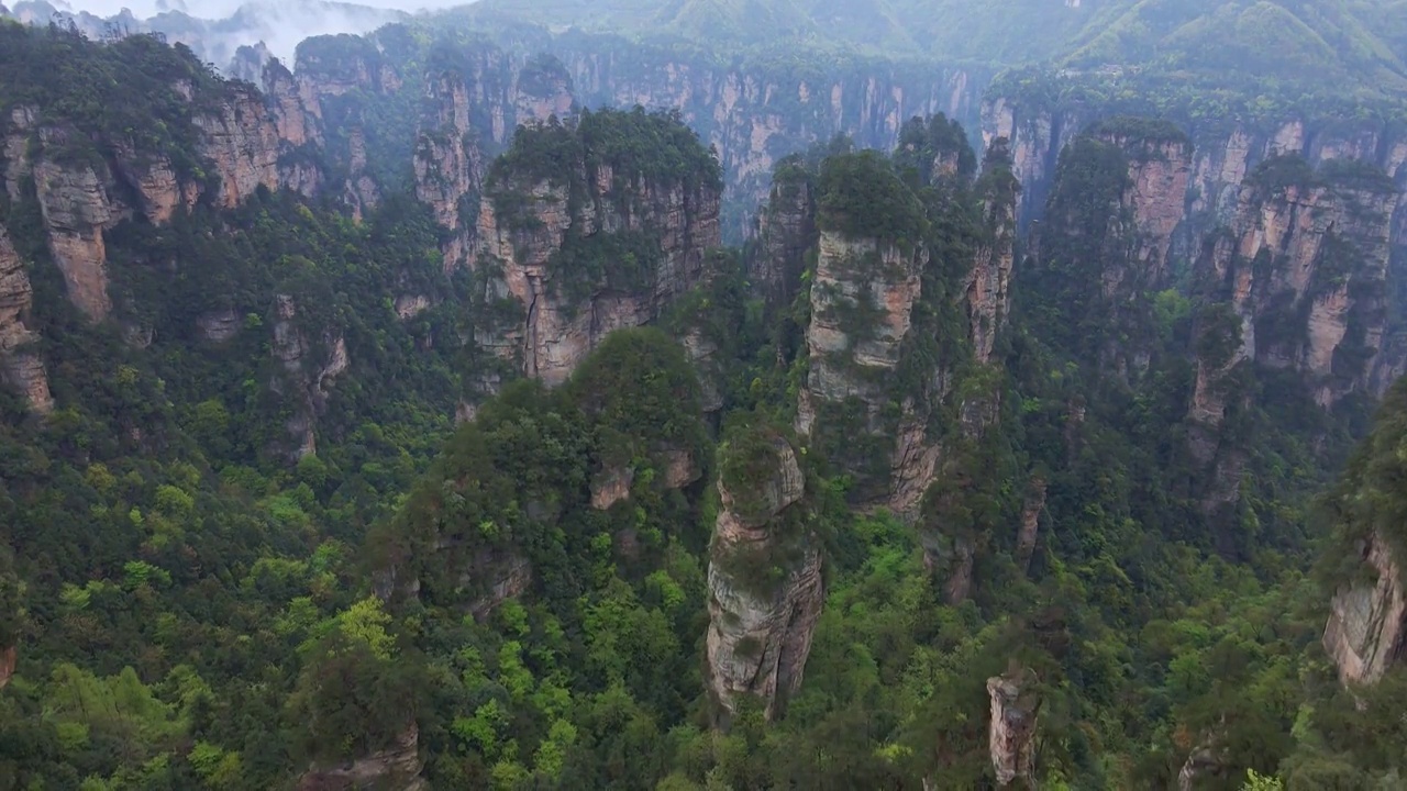 航拍张家界的森林和峡谷视频素材